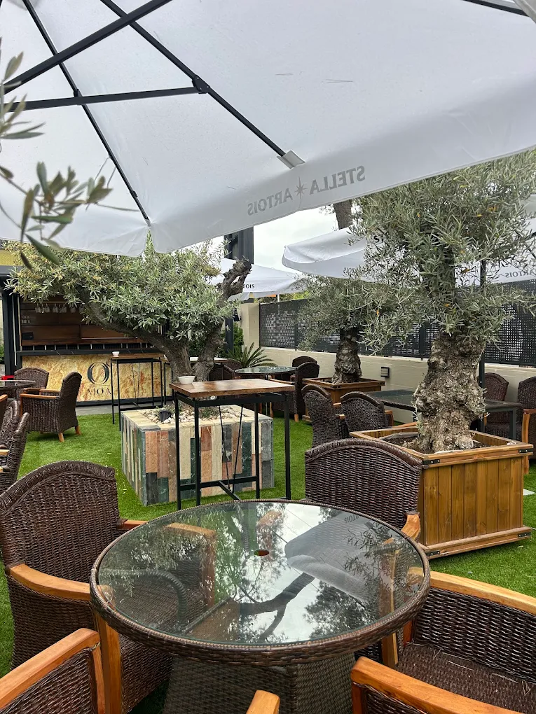 Terraza de MOA entre olivos